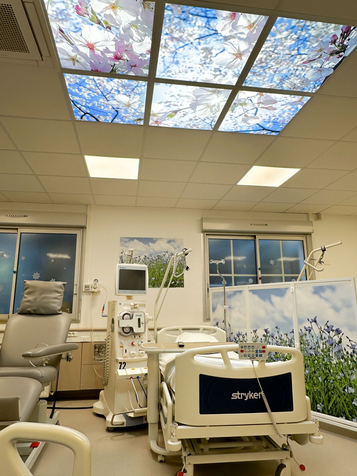 Maladies métaboliques et lithiasiques